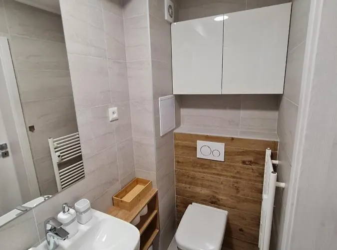 Ema Apartament *